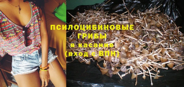 бутират Пестово