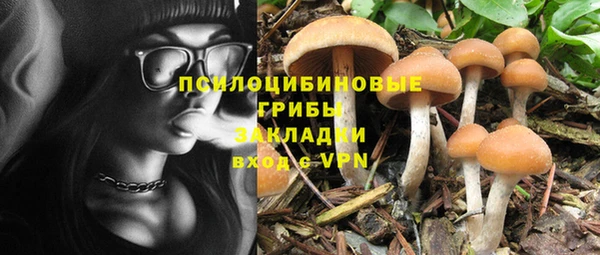бутират Пестово